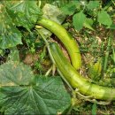 아름다운펜션민박 이미지