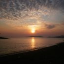 플로라펜션 이미지