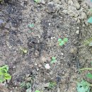 희정이네농장 이미지