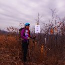 무성산(613.9m) 갈미봉(515.6m) 충남 공주 [19.04.09]A 이미지