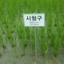 희식농장 Daum카페
