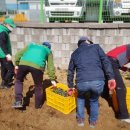 무선로3 이미지