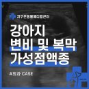 가성메디칼 이미지