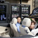 디티코리아 이미지