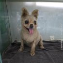 서군산농협주유소 이미지