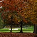 드라이버 400야드 장타 이미지