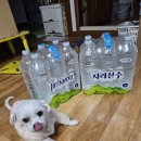 지리산샘물유통 | 빠른 배송의 지리산 수 먹는샘물