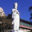 남해-182 이미지