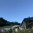 잎새 | 일산 맛집 한정식 전문점 잎새 방문 솔직 후기