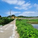 건용목장 이미지