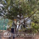 제주 수산동굴 이미지
