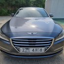 팀모터스 이미지