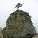 해금강주차장 이미지