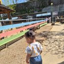 [춘천 육림랜드] 16개월 아기랑 산책겸 다녀온 후기