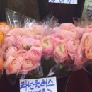 유하2천 네이버블로그