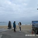 임랑해수욕장 Daum카페