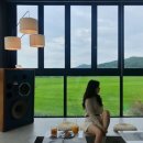 달레메종 이미지