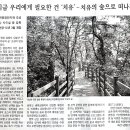 성불산 치유의 숲 이미지