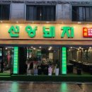 선양돼지 이미지