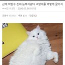 갑수농장 이미지