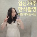 임신 29주차 만삭촬영 세상의모든사진 후기 계약X, 당일혜택, 가격공유