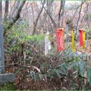 곡성-193 Daum카페