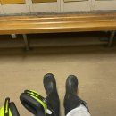 blue-net | 【뉴질랜드 워홀】 뉴질랜드 생선공장 시즌잡 'Sealord' 후기 <2편> - 근무환경, 업무내용