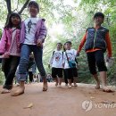 계족산황톳길 이미지