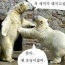 아르바