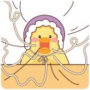 현풍닭칼국수이곡점 이미지