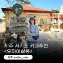 오마이살롱 | 제주도 서귀포 분위기 좋은 이쁜 감성 카페 추천 오마이살롱