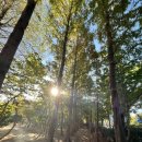 좌동산책길 이미지