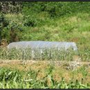 토진2리마을회관 이미지