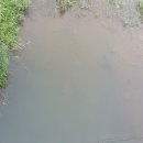 백학자유로리조트 이미지