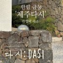 달1037 | 제주 서쪽 10만원 이하 가성비 숙소 금능 ‘제주다시’ 내돈내산