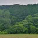 가평땅부동산중개사무소 이미지