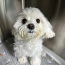 시흥솔병원 이미지