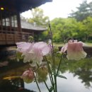 힐링까페 이미지