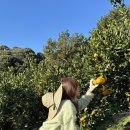 선민농장 이미지