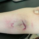 밀양정형외과의원 이미지