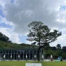 성화자동차정비공업사 네이버블로그