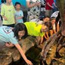 예담 효 태권도장 이미지