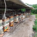 숯골농장 이미지