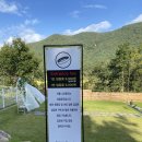 커몽커몽펫 | 경주 애견운동장, 애견야외카페] 커몽 그라운드 방문후기