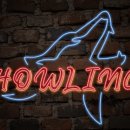 트레이닝 박스 하울링 이미지