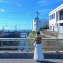 가무네경로당 | [도쿄여행] 일본 3박 4일 일정 / 비용 / 여행코스 추천 (9월 날씨, 옷차림)