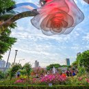 장미1길 이미지