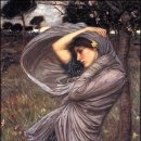 워터하우스 이미지