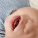 PPO뿅뿅 네이버블로그