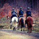 성운대학교 이미지